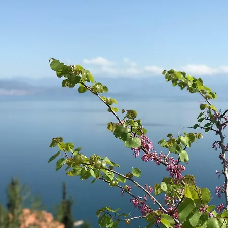 Platanos Villa Vila Plátanos